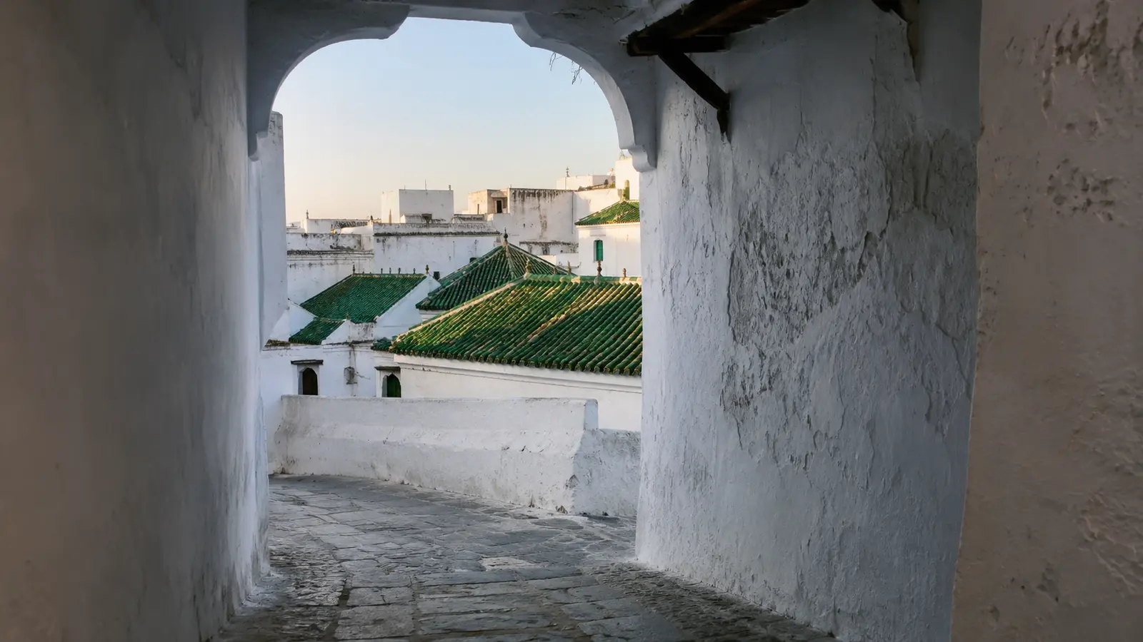 White passage and green-tiled rooftops in Tetouan medina